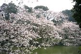 �璹�P��