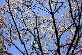 �璹�P��